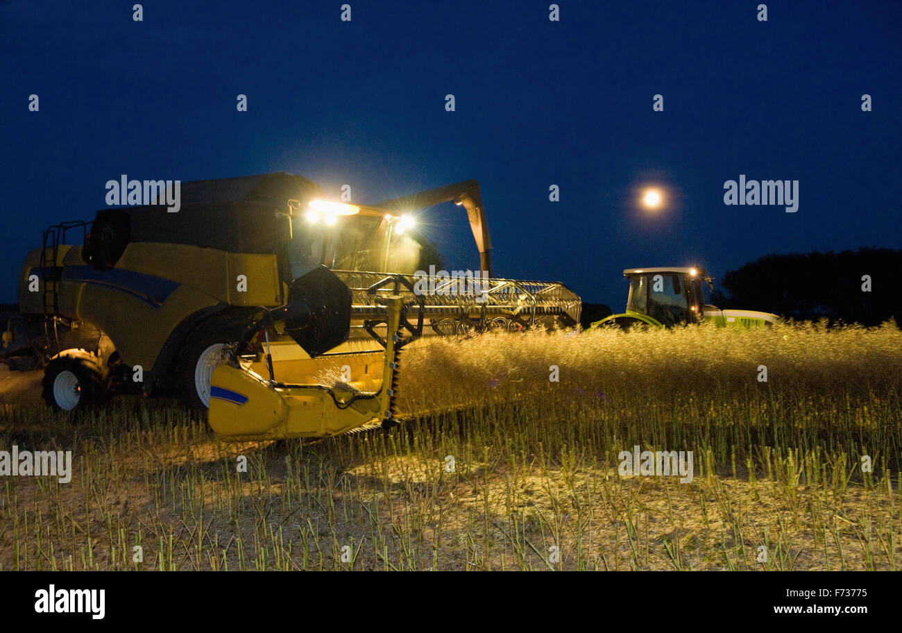 Harvester und Korn Anhänger nachts unter Kunstlicht arbeiten zu kombinieren. Stockfoto