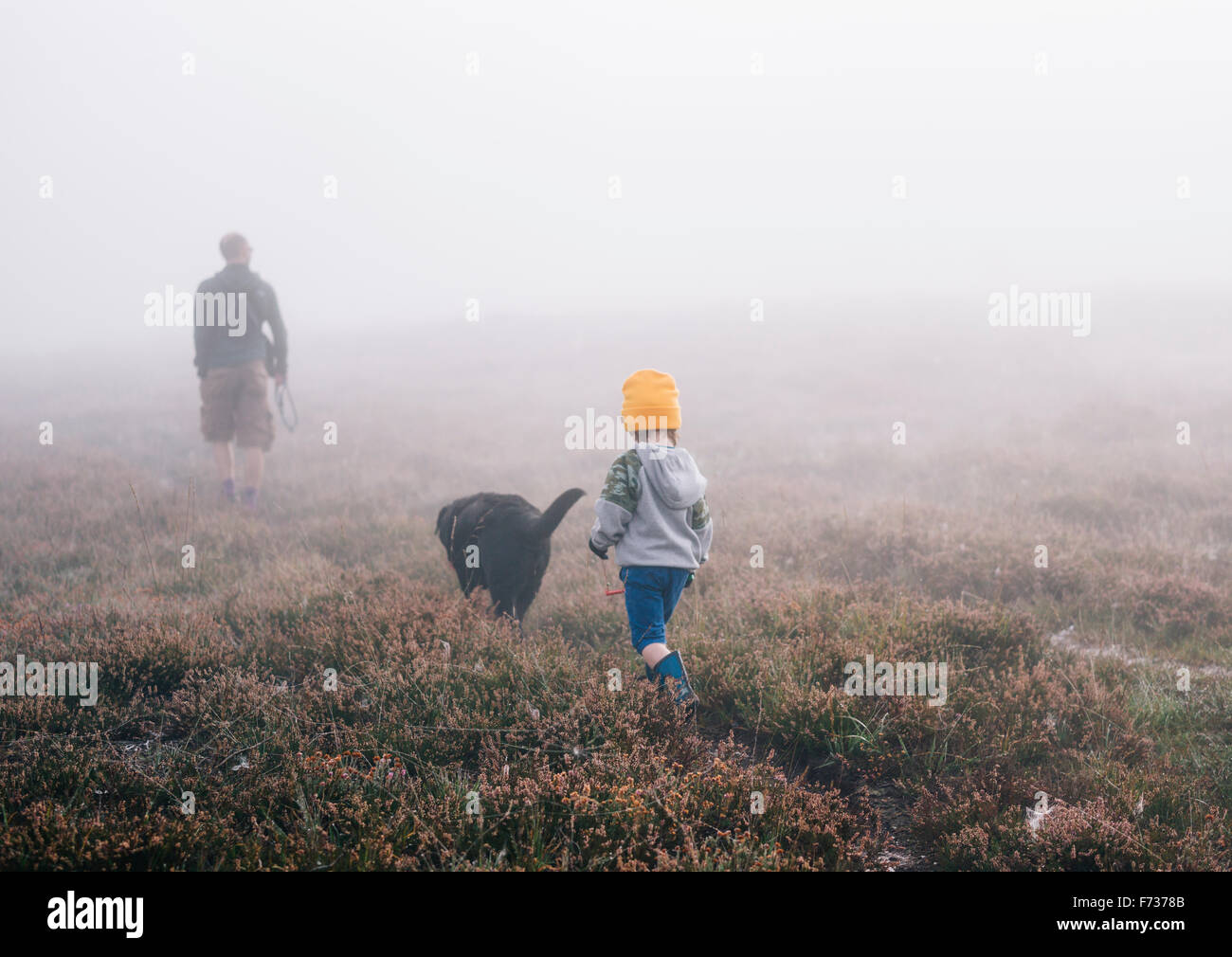 Ein Erwachsener und ein Kind mit einem Hund zu Fuß durch die Heide im Herbst Nebel. Stockfoto