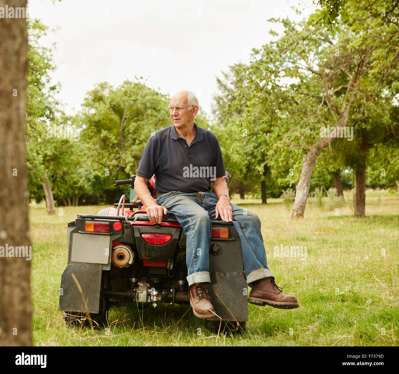 Ein Bauer sitzt auf der Rückseite von einem Quad-Bike in einem Feld vermessen sein Land und seine Tiere. Stockfoto
