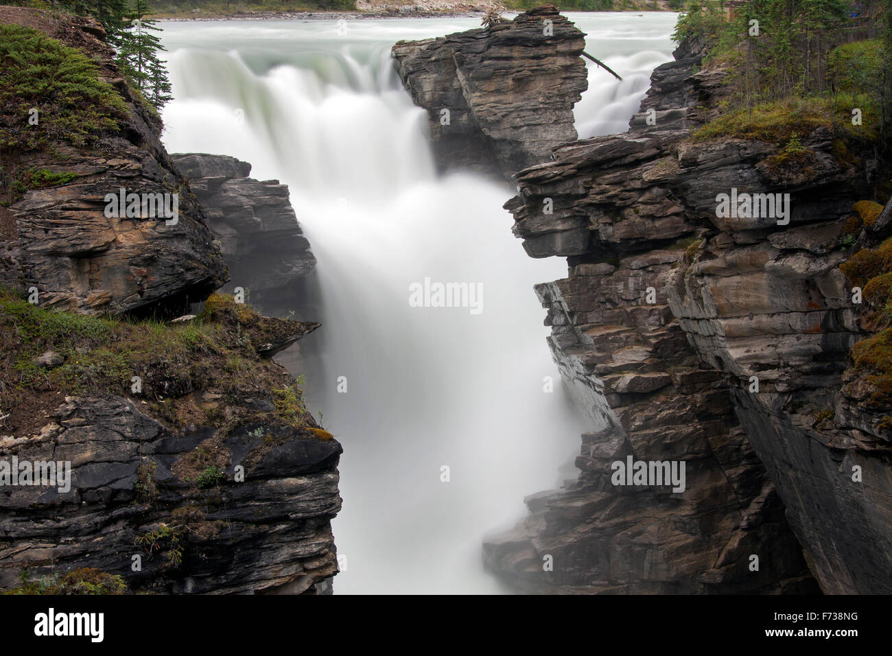 Athabasca Falls des Athabasca River in der kanadischen Rocky Mountains, Jasper Nationalpark, Alberta Kanada Stockfoto