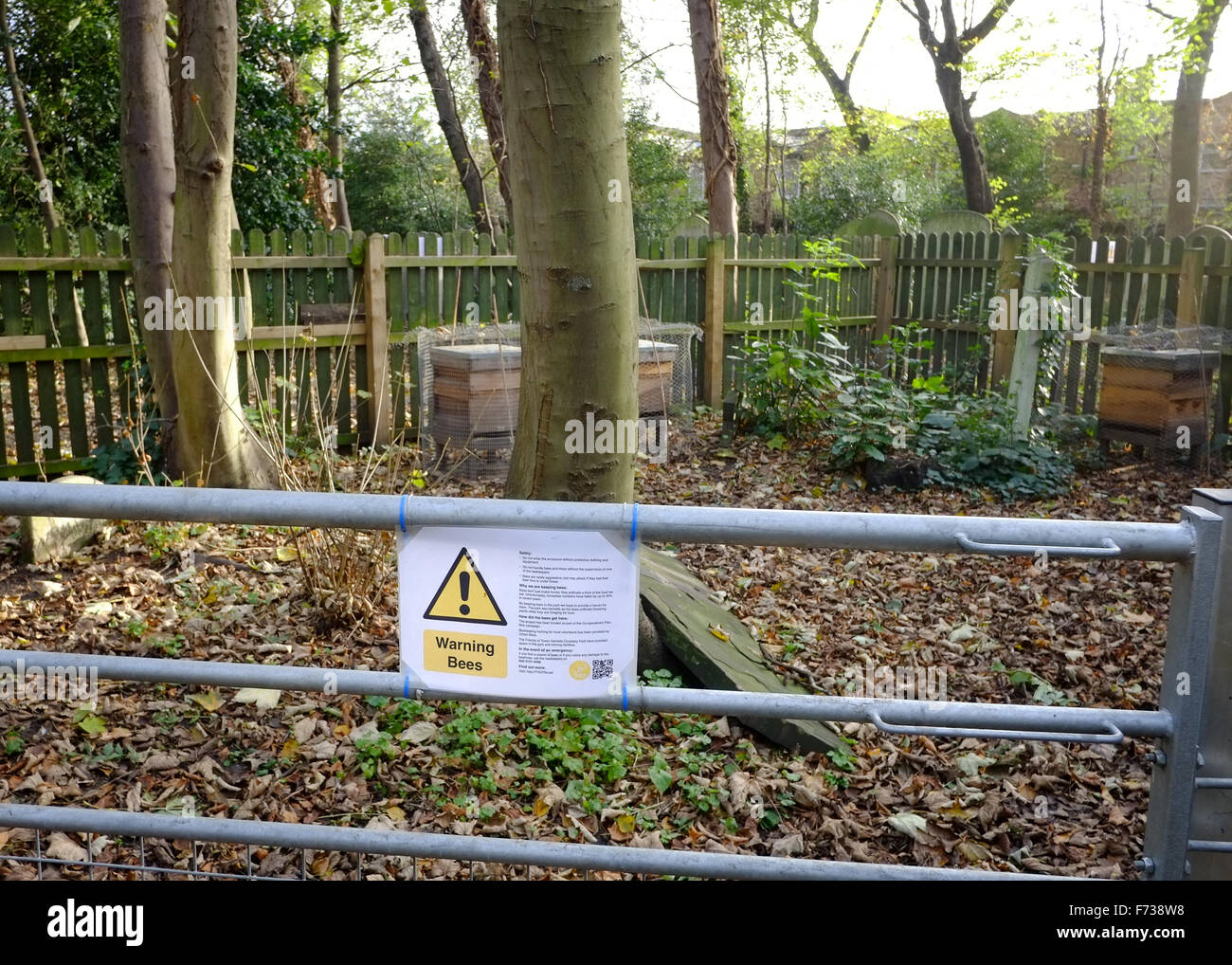 Urbanen Bienenzucht: Nesselsucht in Tower Hamlets Cemetery Park, London, UK Stockfoto