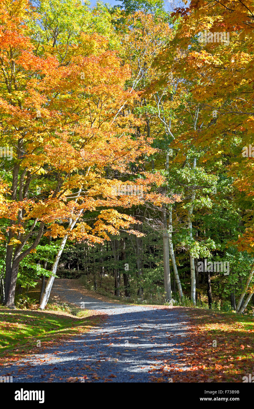 Ländlichen Landstraße im Herbst, Vermont. Stockfoto