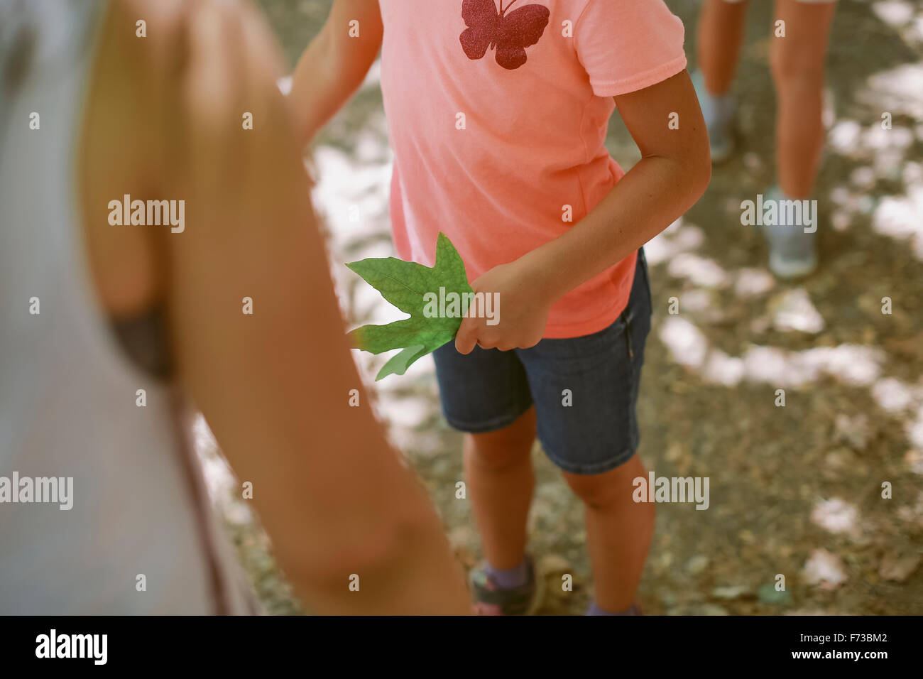 Eine Person steht mit einem grünen Blatt der Ahornbaum an seiner linken Hand. Stockfoto