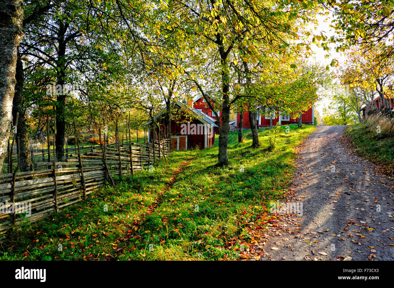 alten ländlichen Bauernhaus in Herbstlandschaft Stockfoto