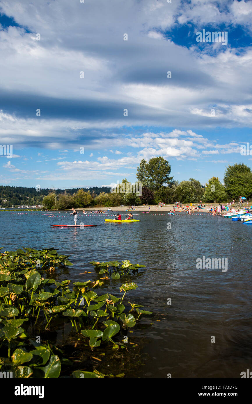 Lake Sammamish in der Nähe von Seattle und Issaquah, WA ist ein beliebtes Touristenziel für Wassersportarten wie Kajak fahren und schwimmen. Stockfoto