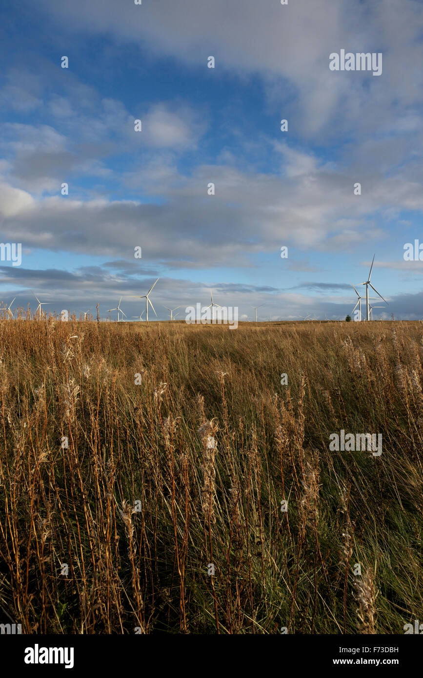 Windkraftanlagen im Windpark Whitelee. Stockfoto