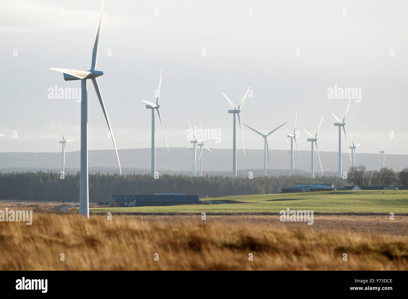 Windkraftanlagen im Windpark Whitelee. Stockfoto