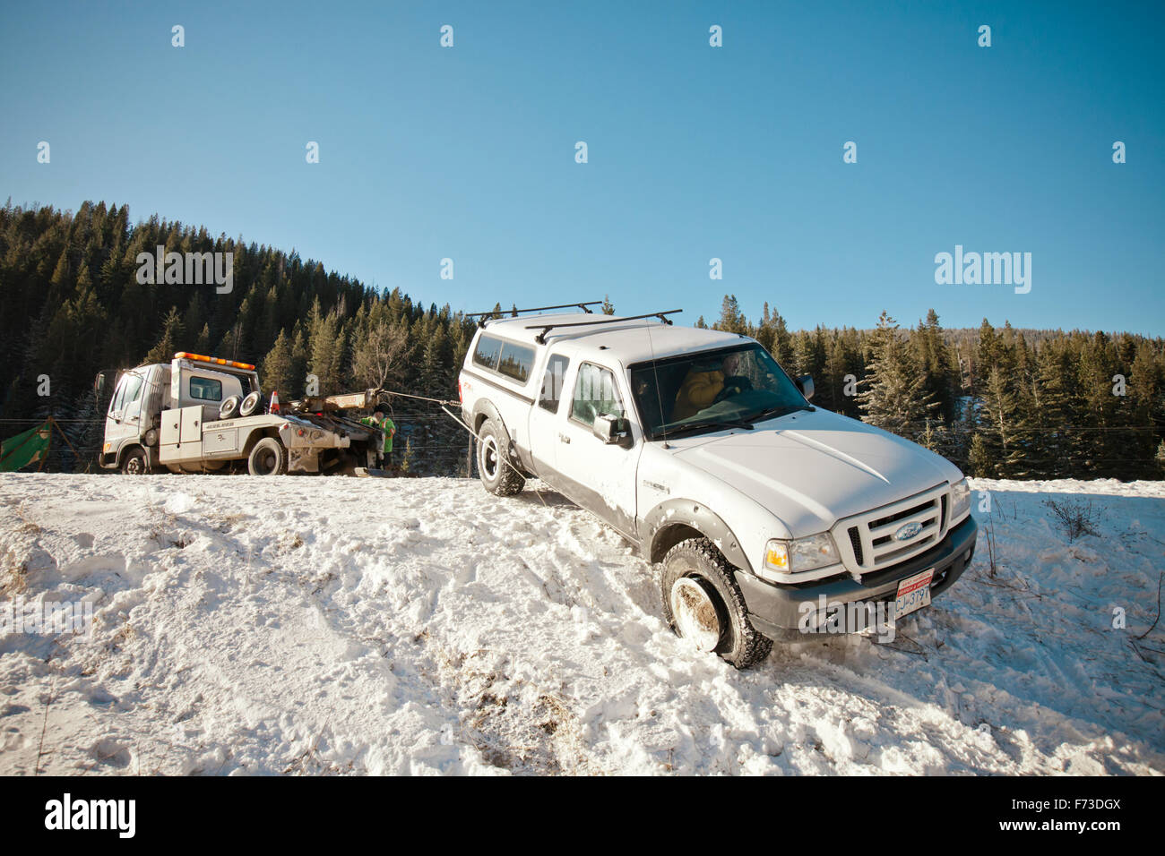 Ein Fahrer lenkt seinen LKW, während es aus einem Schnee gefüllten Graben gezogen wird. Stockfoto