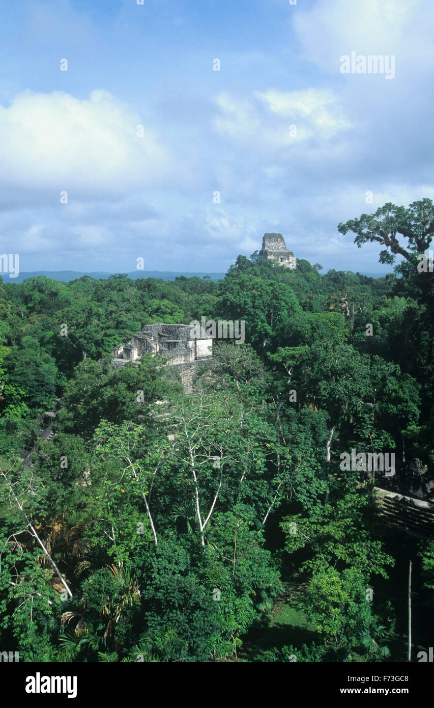 Ansicht der Tempel IV von Hauptpyramide, Tikal, Guatemala. Stockfoto