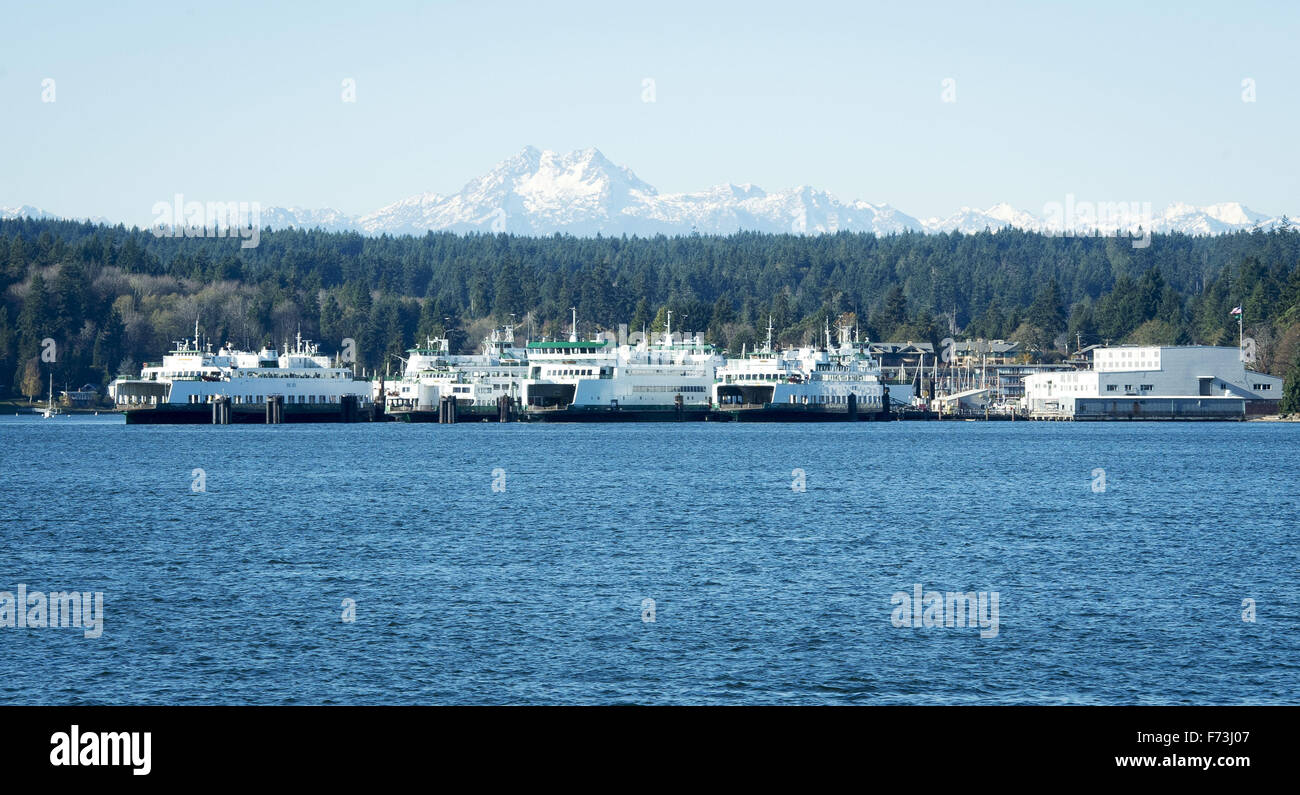 Seattle, Washington, USA. 21. November 2015. Die Washington State Ferry System, unter dem Department of Transportation betreibt etwa zwei Dutzend speziell Fähren auf 10 verschiedenen Routen auf 20 verschiedenen Terminals befindet sich in Puget Sand und den San Juan Islands. Im Rahmen des Washington State Highway Systems ist optisch unverwechselbaren grüne und weiße lackierte Rumpf erkennbar. ---Auf dem Foto Fähren an ihre Liegeplätze in der Nähe der Bainbridge Island Terminal am Winslow sitzen. © David Bro/ZUMA Draht/Alamy Live-Nachrichten Stockfoto