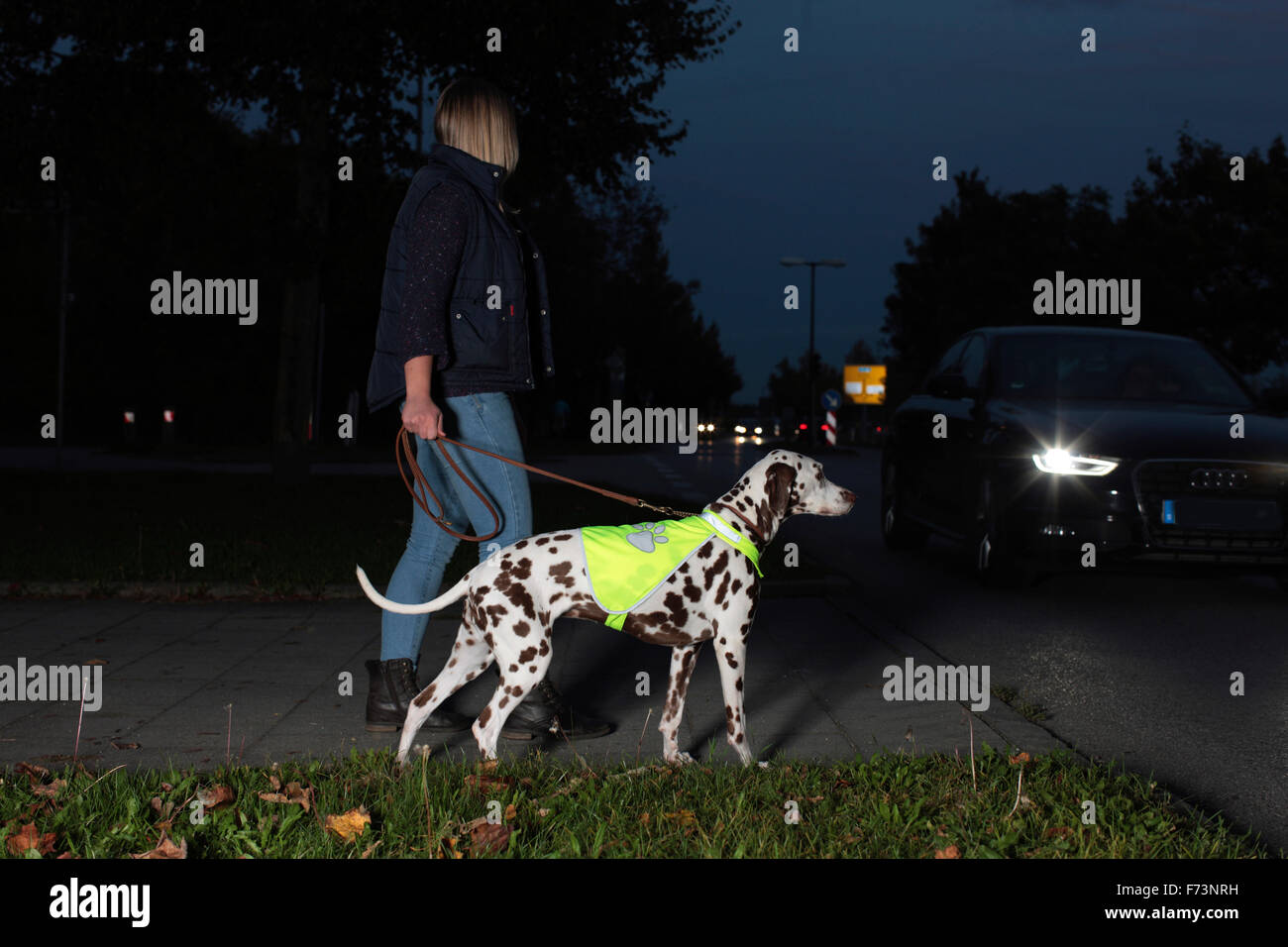 Frau zu Fuß mit dalmatinischen tragen eine Safesty Weste in der Nacht. Deutschland Stockfoto