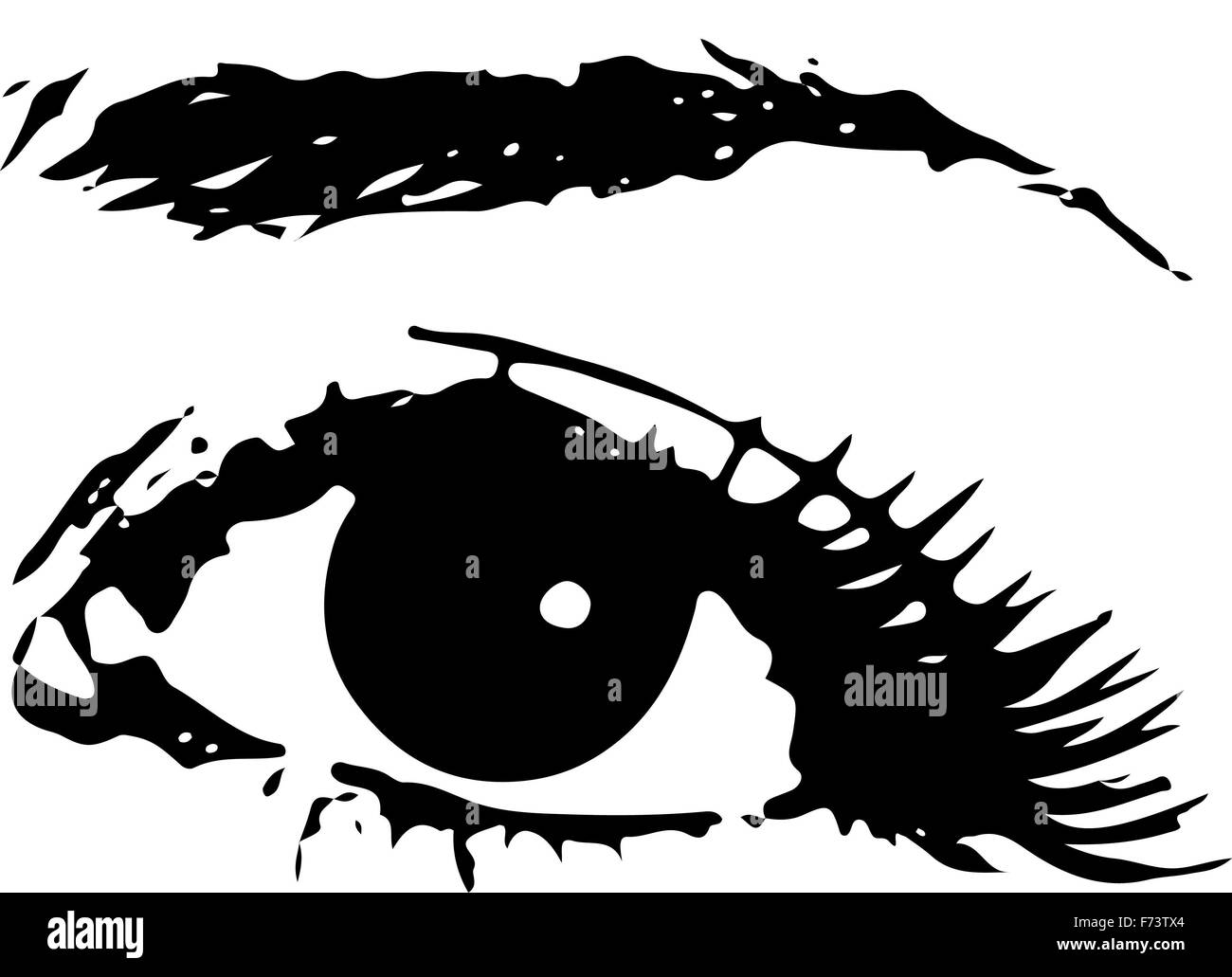 Menschliche weibliche Auge mit Augenbrauen als Vektor. Icon-Design auf weißem Hintergrund, Vektor-illustration Stockfoto