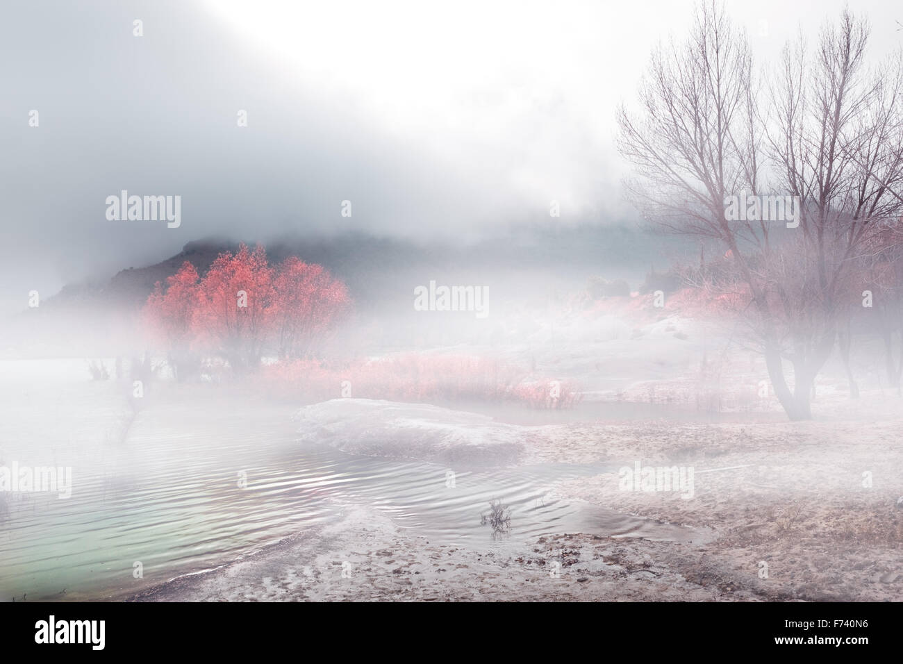 Winterlandschaft mit Nebel und Bäume Stockfoto