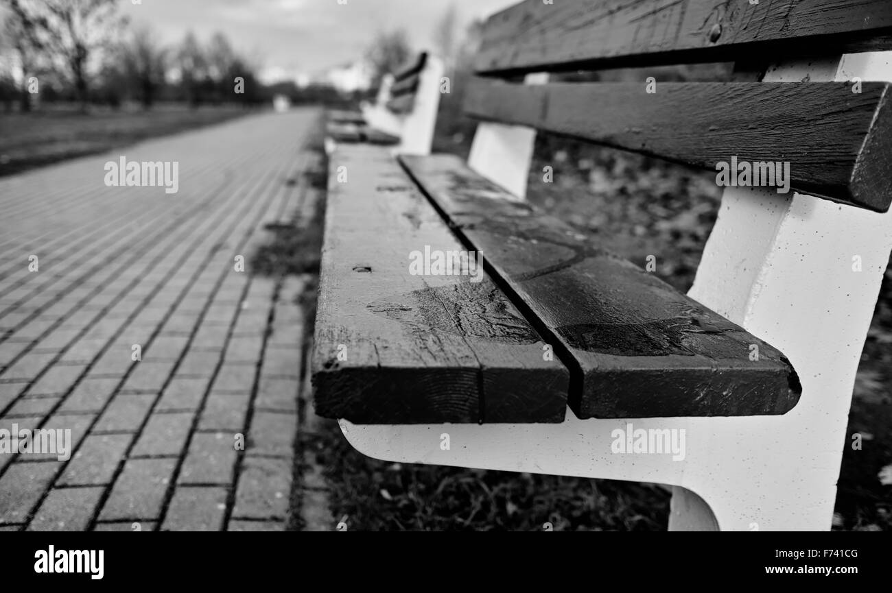 Bank im Park. Zaspa Danzig. Stockfoto