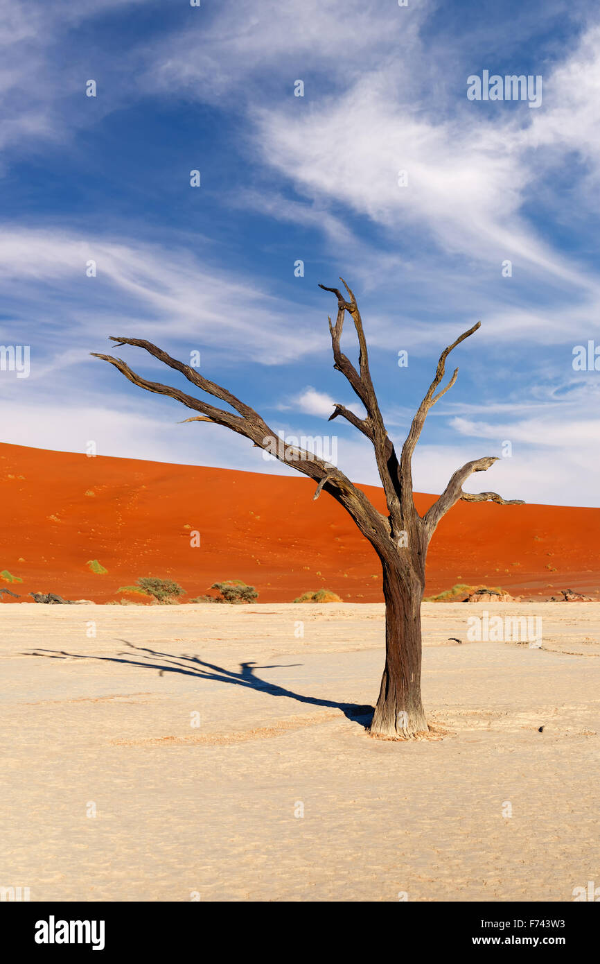 Roten Sanddüne und verbrannten toten Baum kurz nach Sonnenaufgang in Deadvlei, Sossusvlei, Namibia Stockfoto