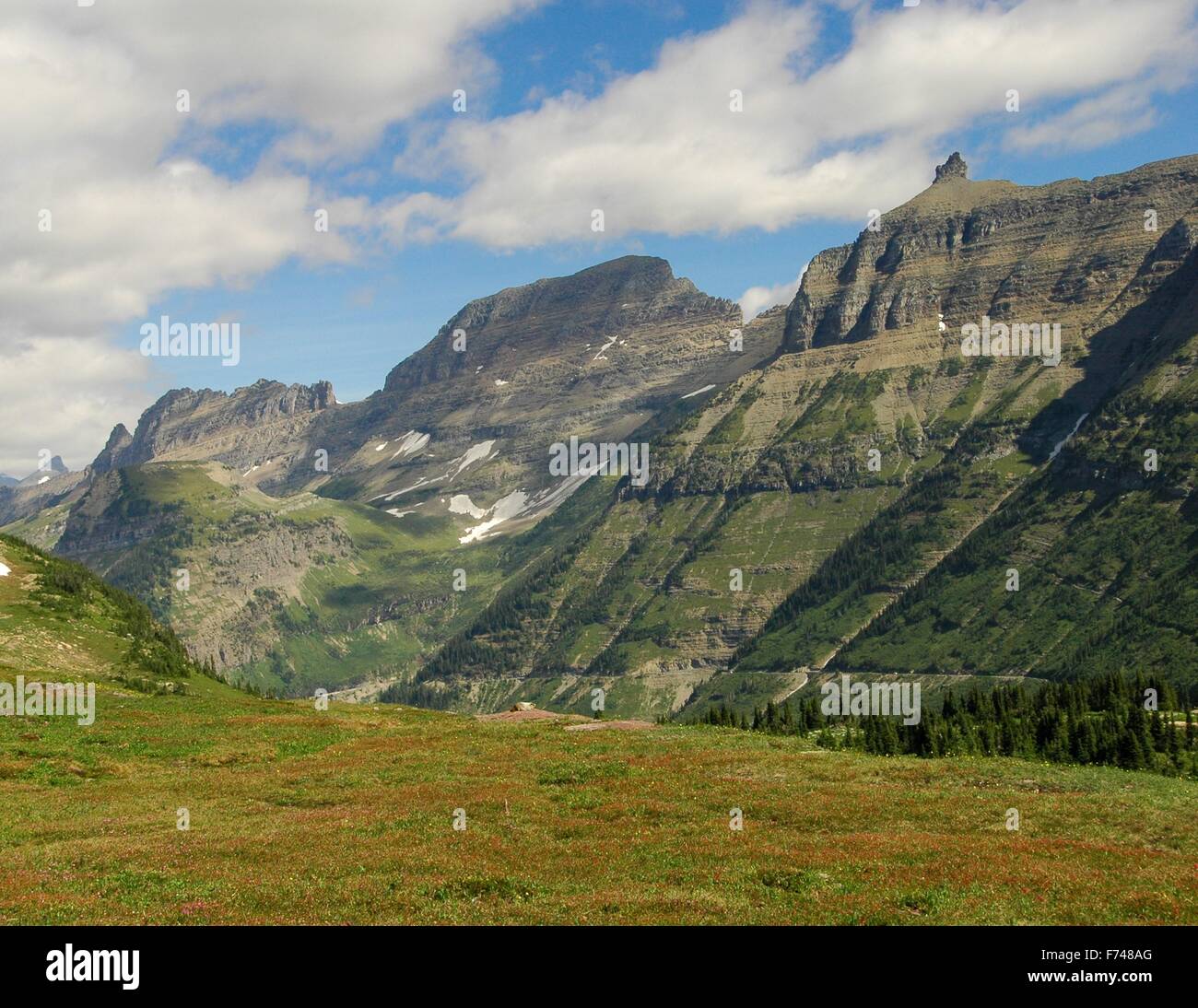 Schöne Berge im Glacier National Park, Montana. Beachten Sie das Murmeltier am Rand der Klippe. Stockfoto
