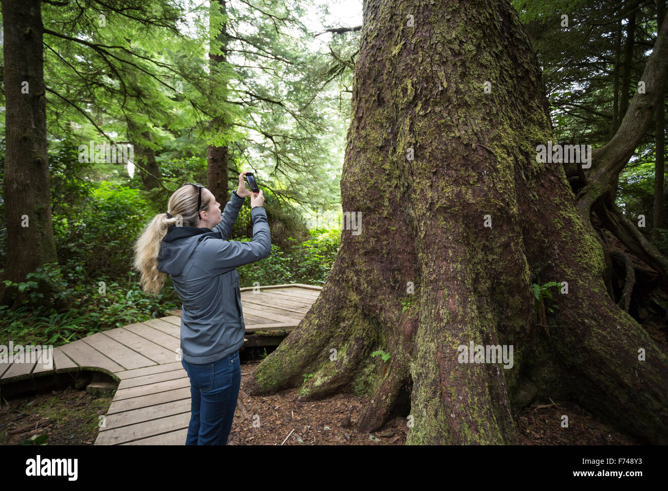 Kanada, British Columbia, Vancouver Island, Pacific Rim National Park Reserve, weibliche Touristen Wandern auf den Spuren der Regenwald Stockfoto