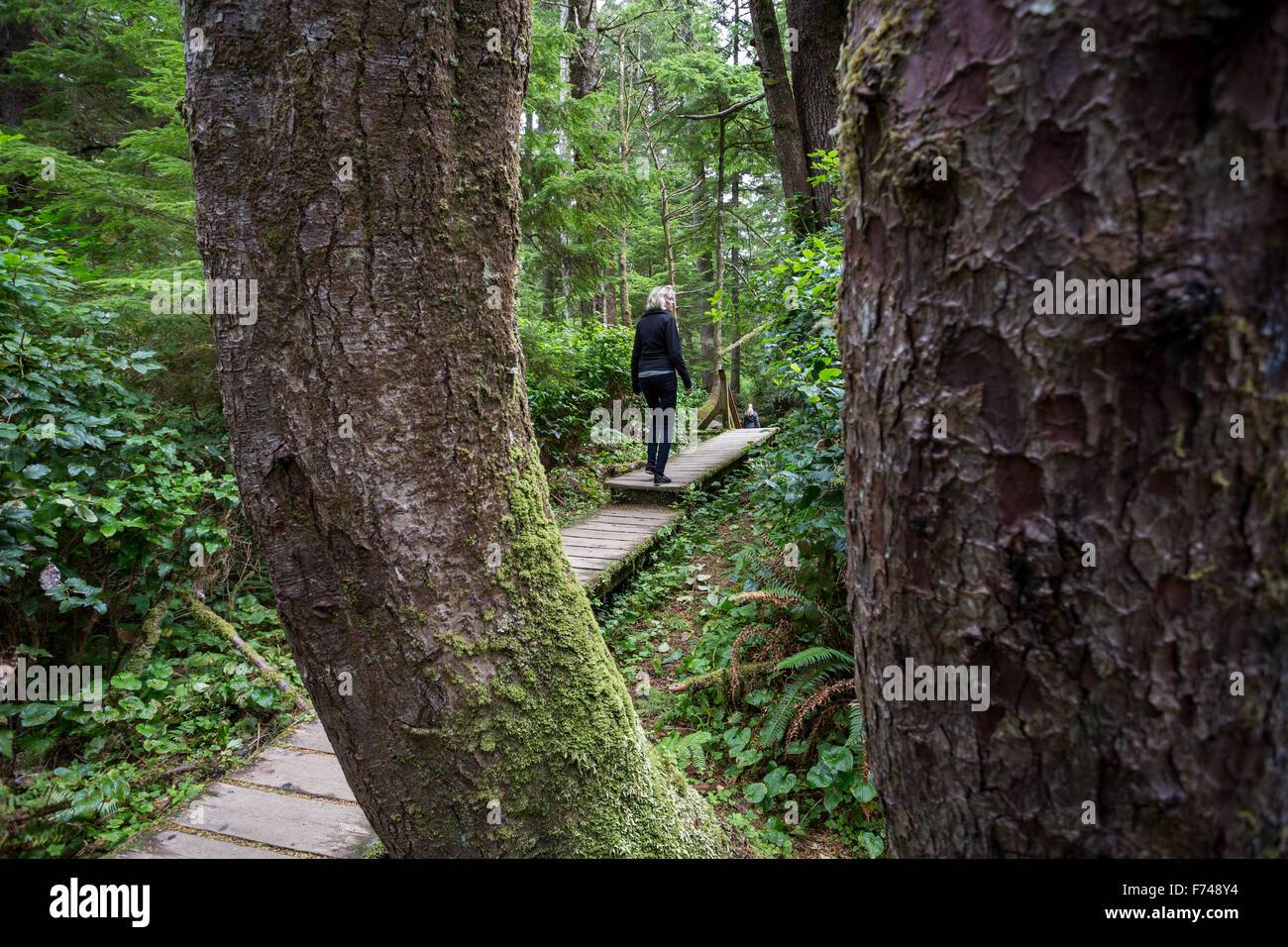 Kanada, British Columbia, Vancouver Island, Pacific Rim National Park Reserve, zwei Touristen Wandern auf den Spuren der Regenwald Stockfoto