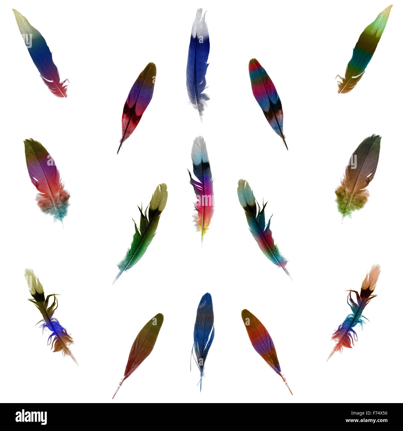 Feder-Satz Stockfoto