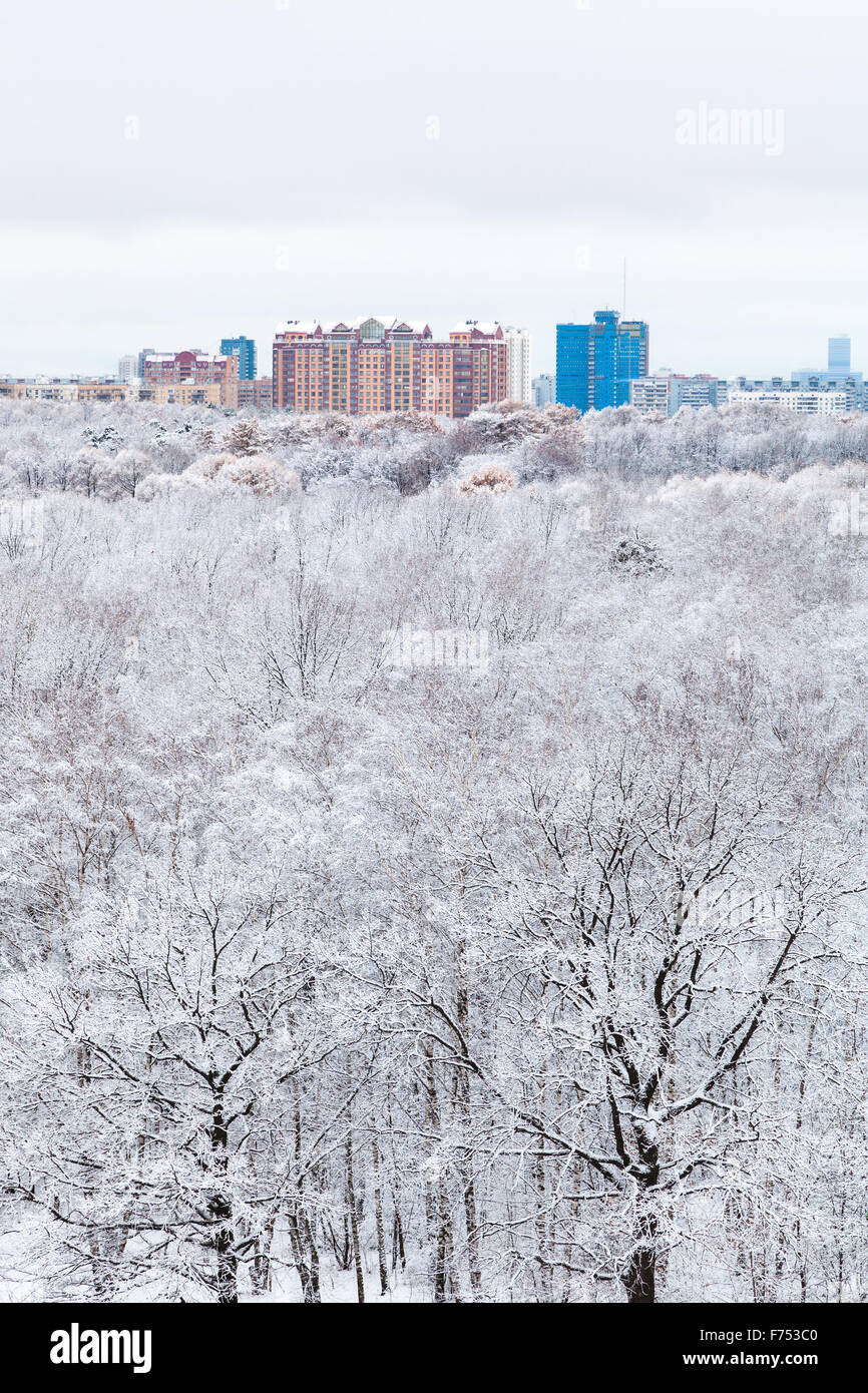 Schnee, Eichen im Wald und Stadt im kalten Wintertag Stockfoto
