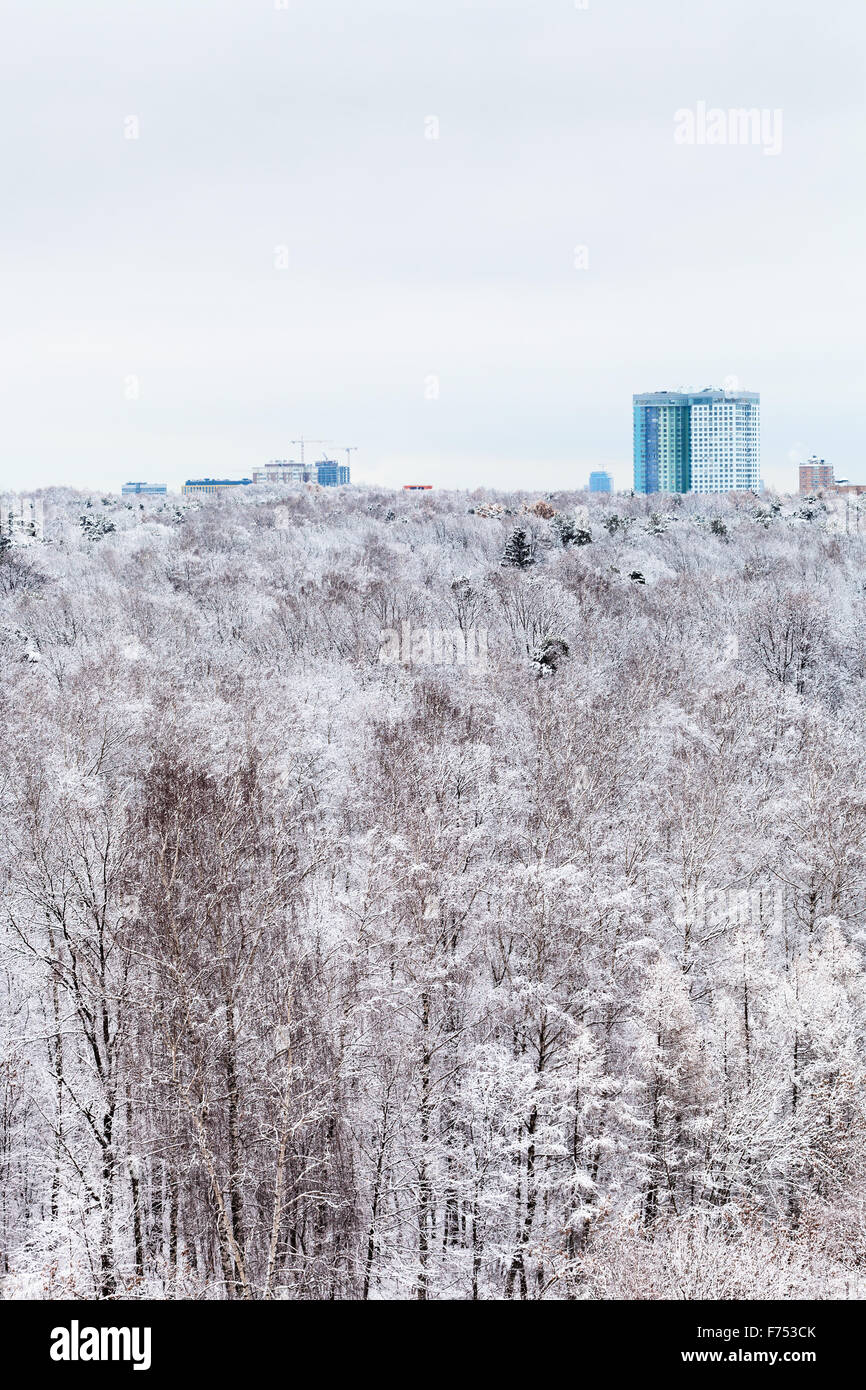 Appartementhaus und Schneewald in Wintertag Stockfoto