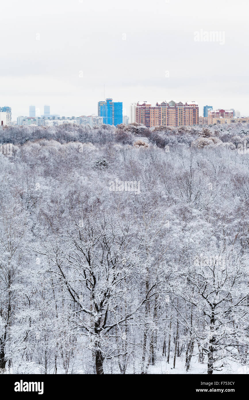 Schnee, Eiche und Birke Bäume im Wald und Stadt im Winter Stockfoto