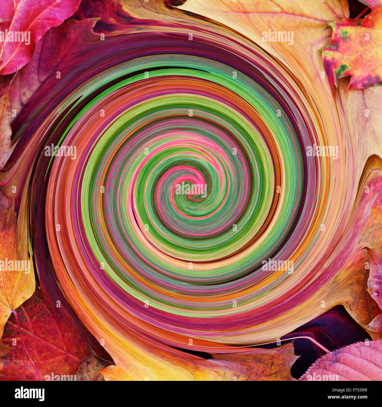 Abstrakte Acer hinterlässt kreisförmige Swirl - Herbst Farben Stockfoto