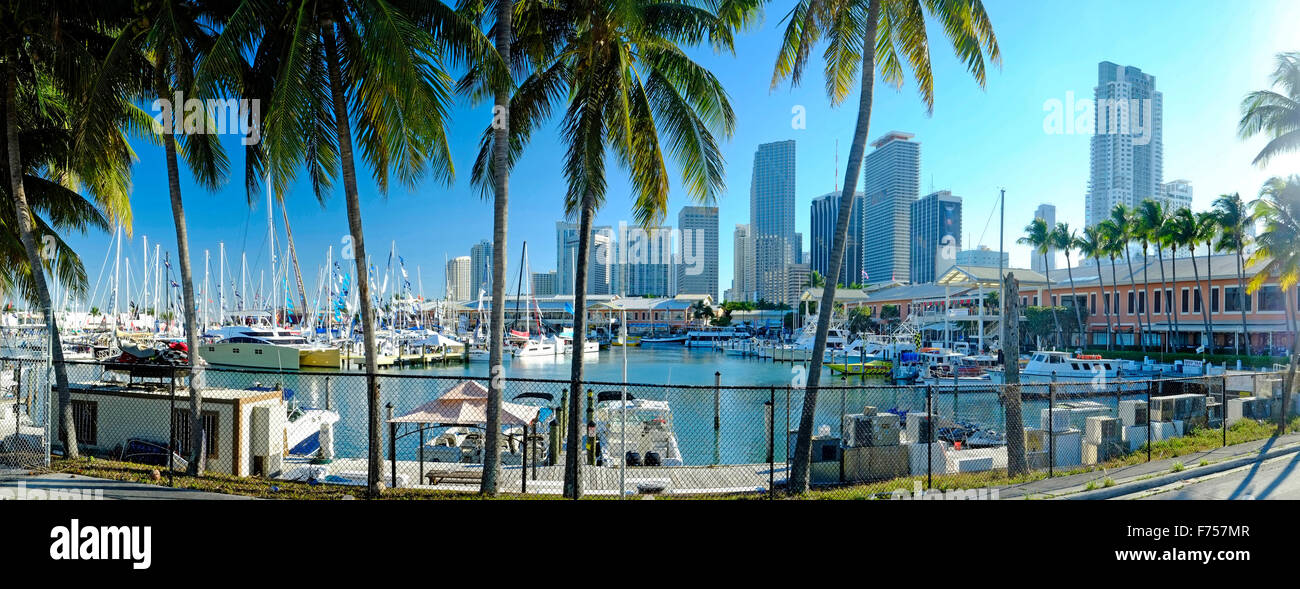 Skyline von Miami angesehen über Marina, Florida, USA Stockfoto