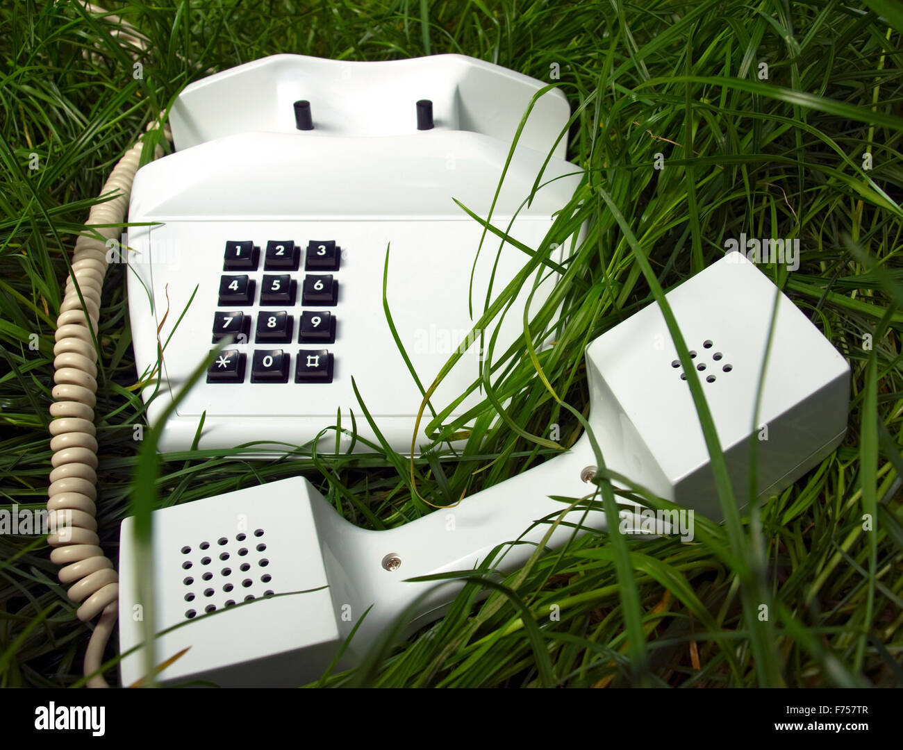 Telefon an ungewöhnlichen Ort Stockfoto