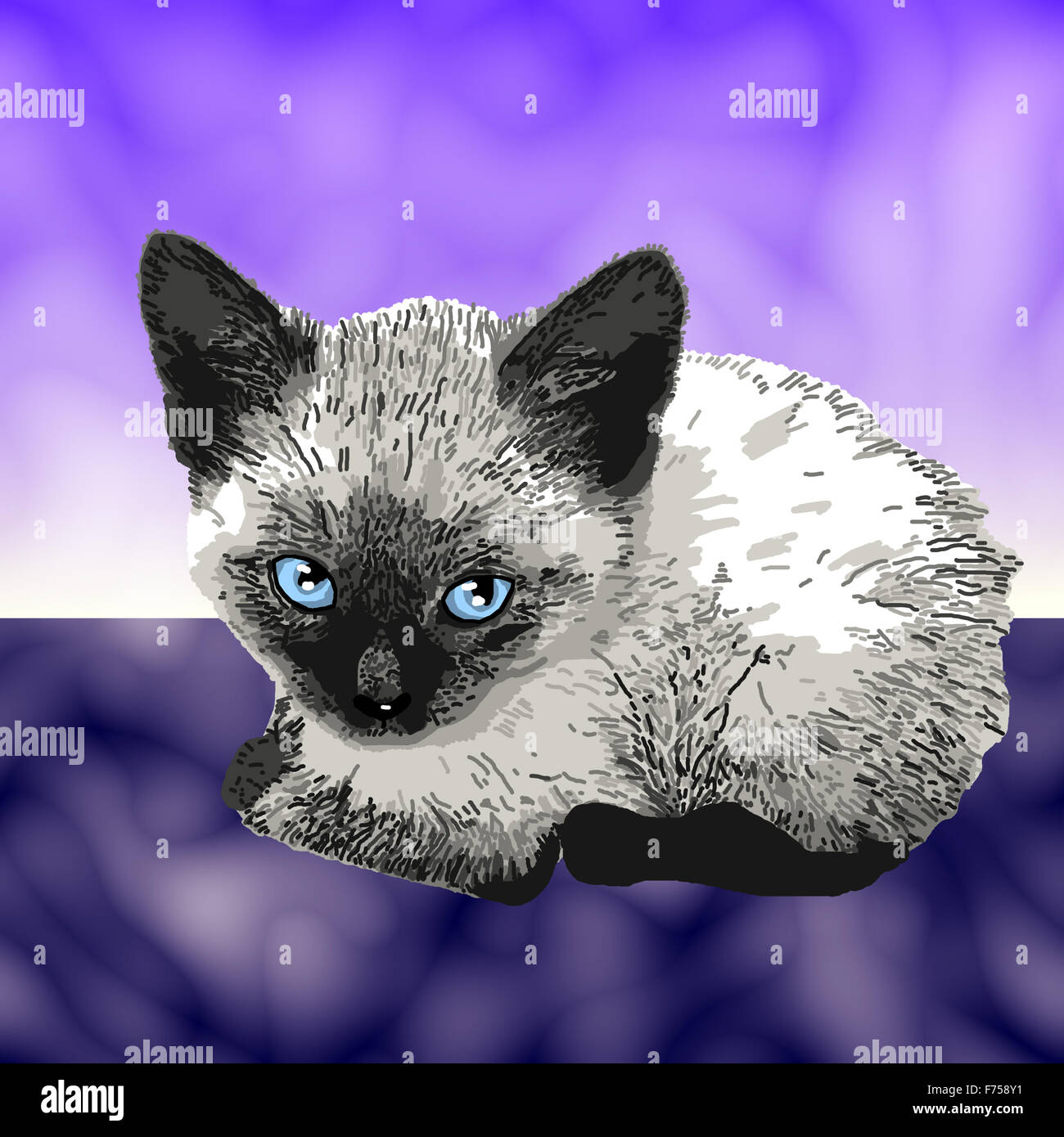  Liegende katze zeichnen -Fotos und -Bildmaterial in hoher Auflösung – Alamy 
