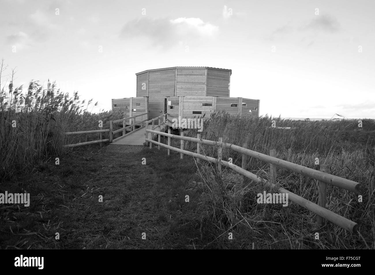 Die neue (2015) Avalon verstecken im RSPB Schinken Wand Naturreservat Stockfoto