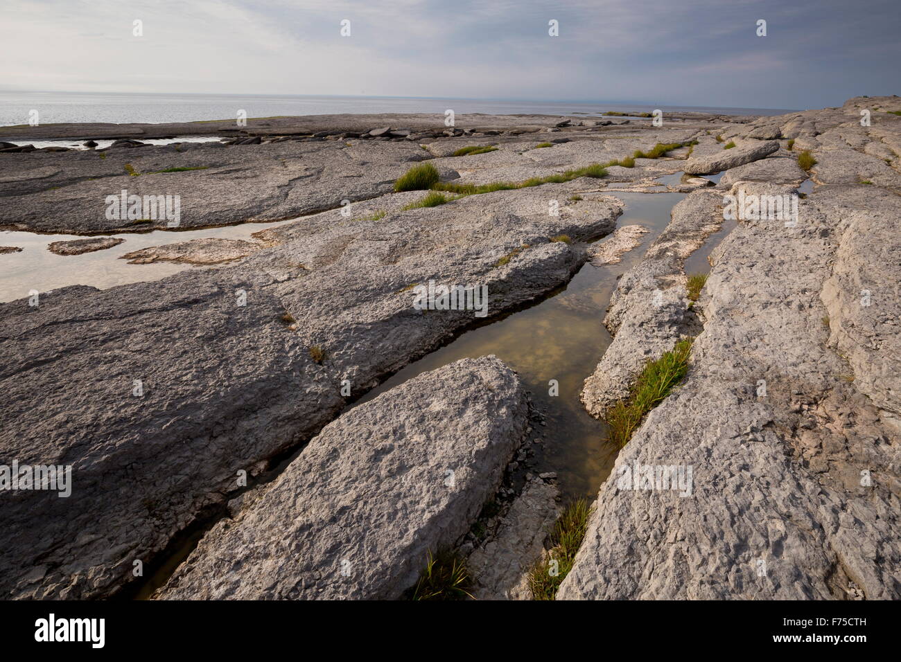 Der erodierten Limestone Coast am Point Riche, Port au Choix, NW Neufundland. Stockfoto