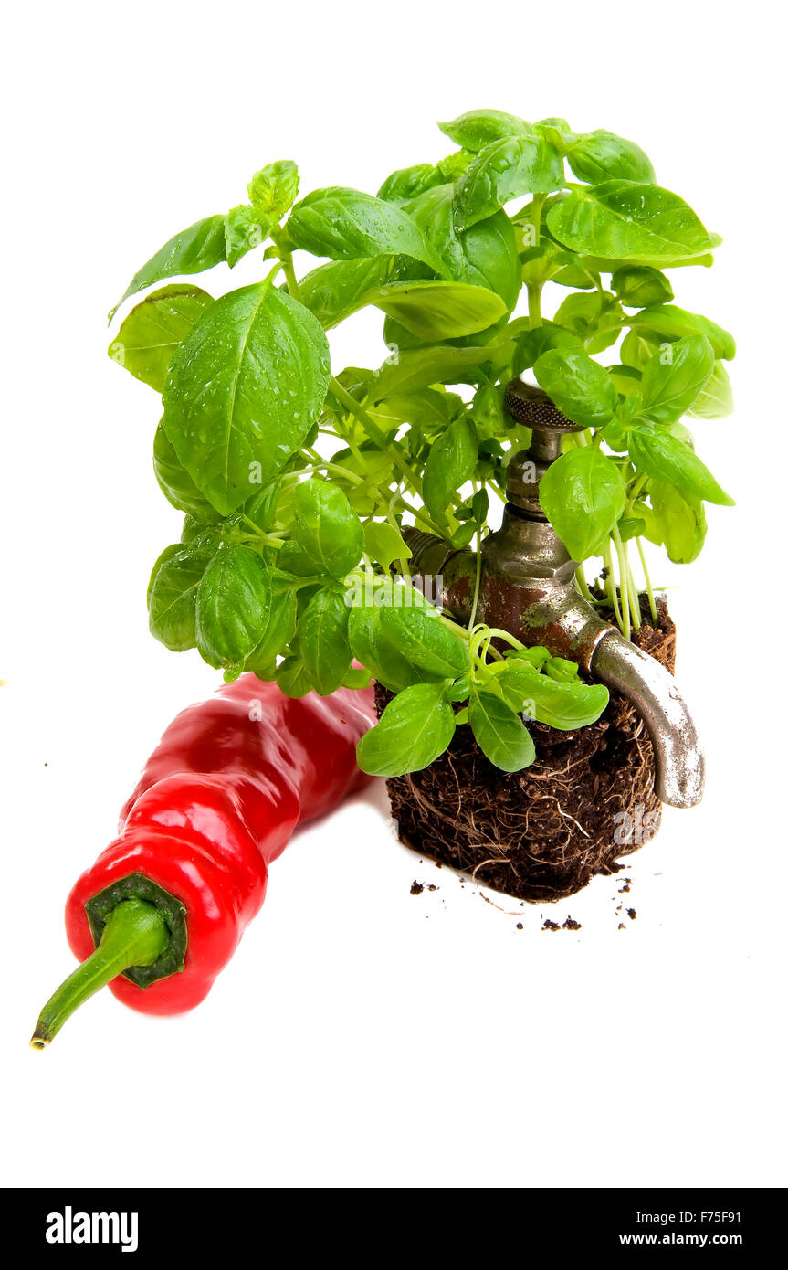 Heißen Energieverteiler Stockfoto