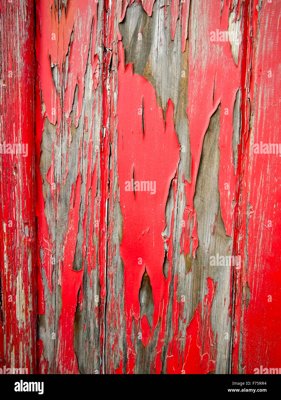schälen roten Farbe auf eine Holztür Stockfoto