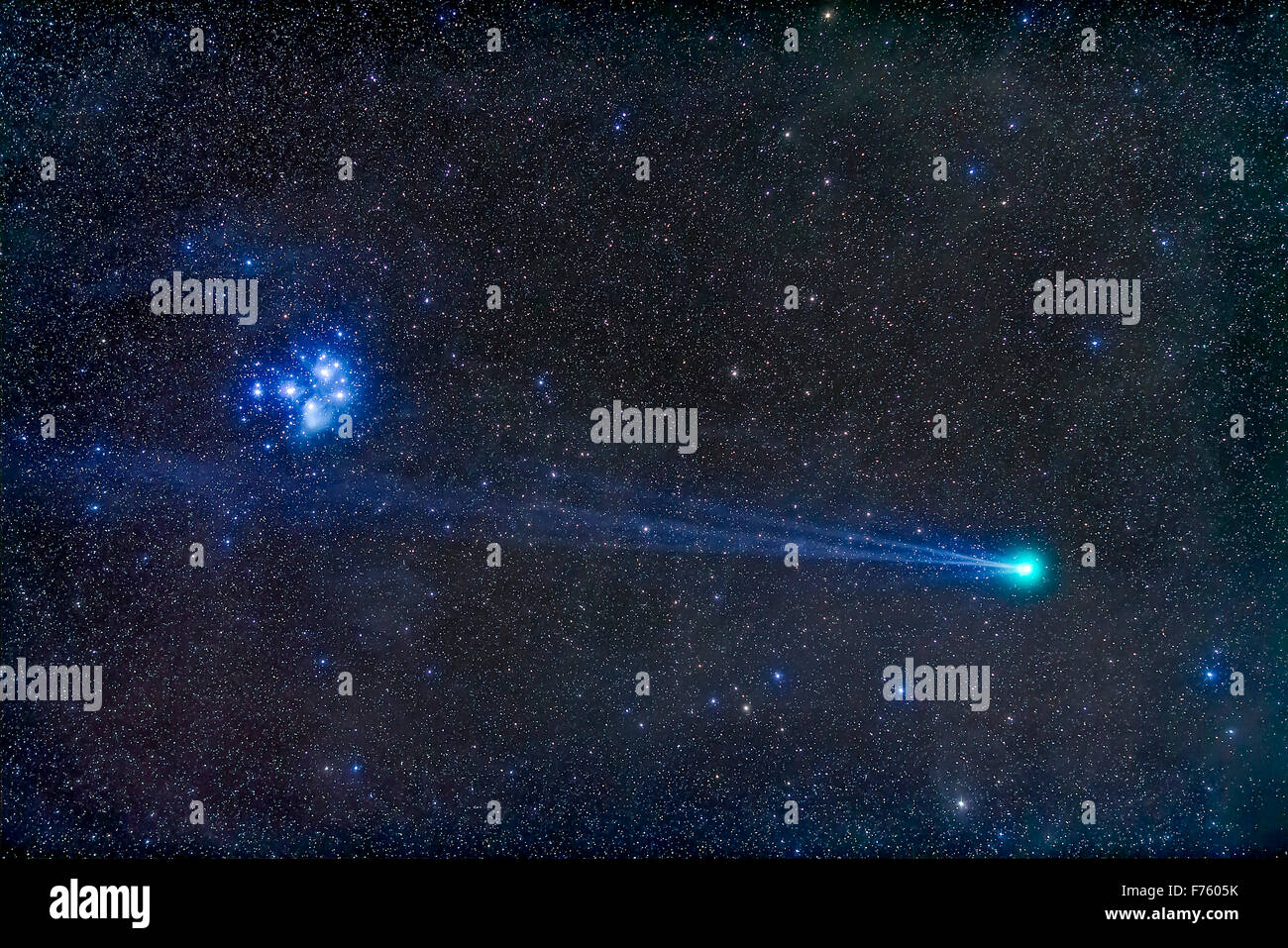 Comey Lovejoy, C/2014 Q2, Nähe der Plejaden Sternhaufen Messier 45, in der Nacht vom Sonntag, 18. Januar 2015, mit seinen blauen Stockfoto