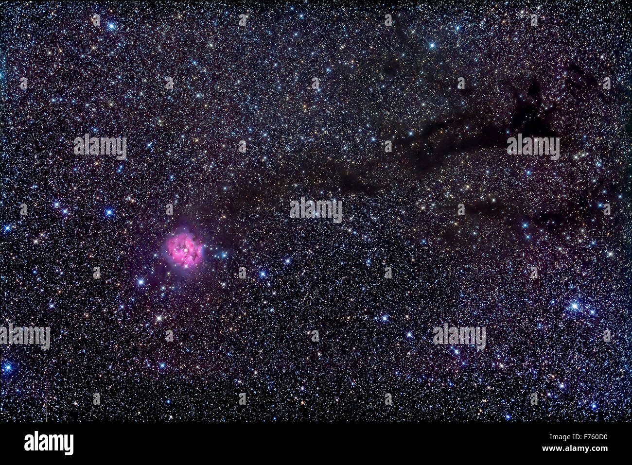 IC 5146, der Cocoon-Nebel in Cygnus, am Ende des dunklen Nebel B168.   Dies ist ein Stapel von 10 x 8-minütige Aufnahmen mit der Stockfoto