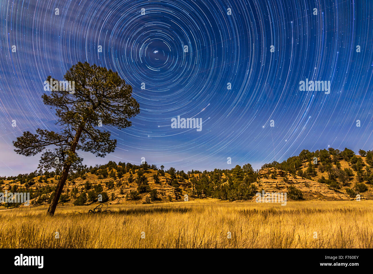 Zirkumpolare Sterne Wanderwege über das Mondlicht Mimbres Tal in der Nähe von Lake Roberts in Gila National Forest im Süden New Mexikos. Ich Stockfoto