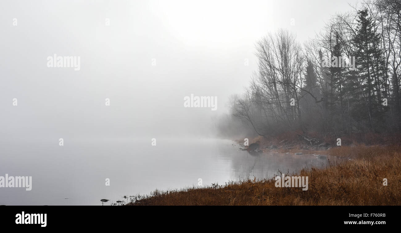 Dichter Nebel langsam entlang des Flusses, diffuses Sonnenlicht. Stockfoto