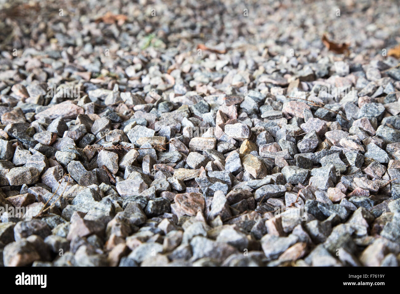 geringe Schärfentiefe. Farbige Schotter Kies Bodendecker für dekorative Hof und Garten Stockfoto