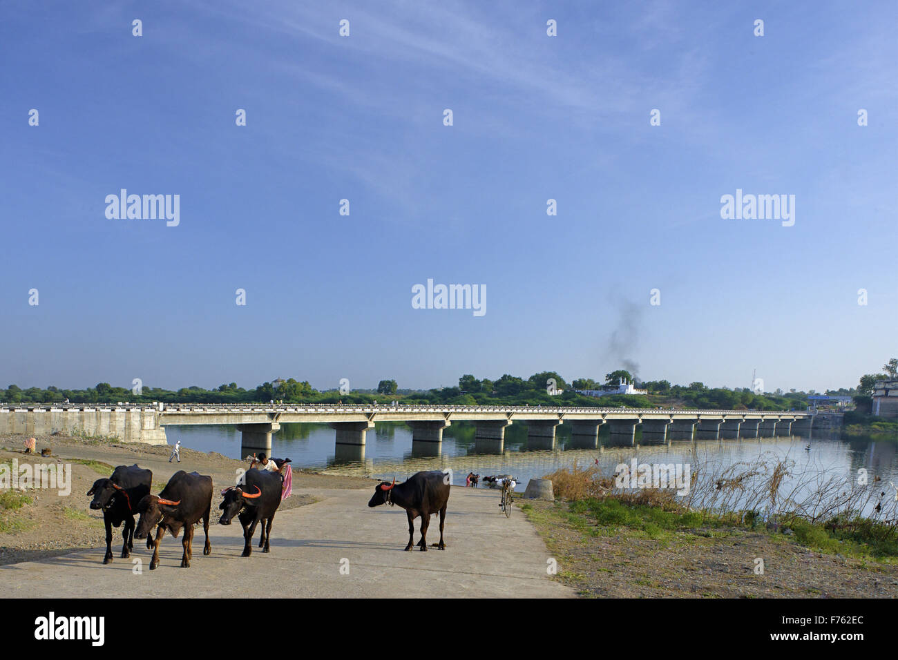 Godavari Fluß, Nanded, Maharashtra, Indien, Asien Stockfoto