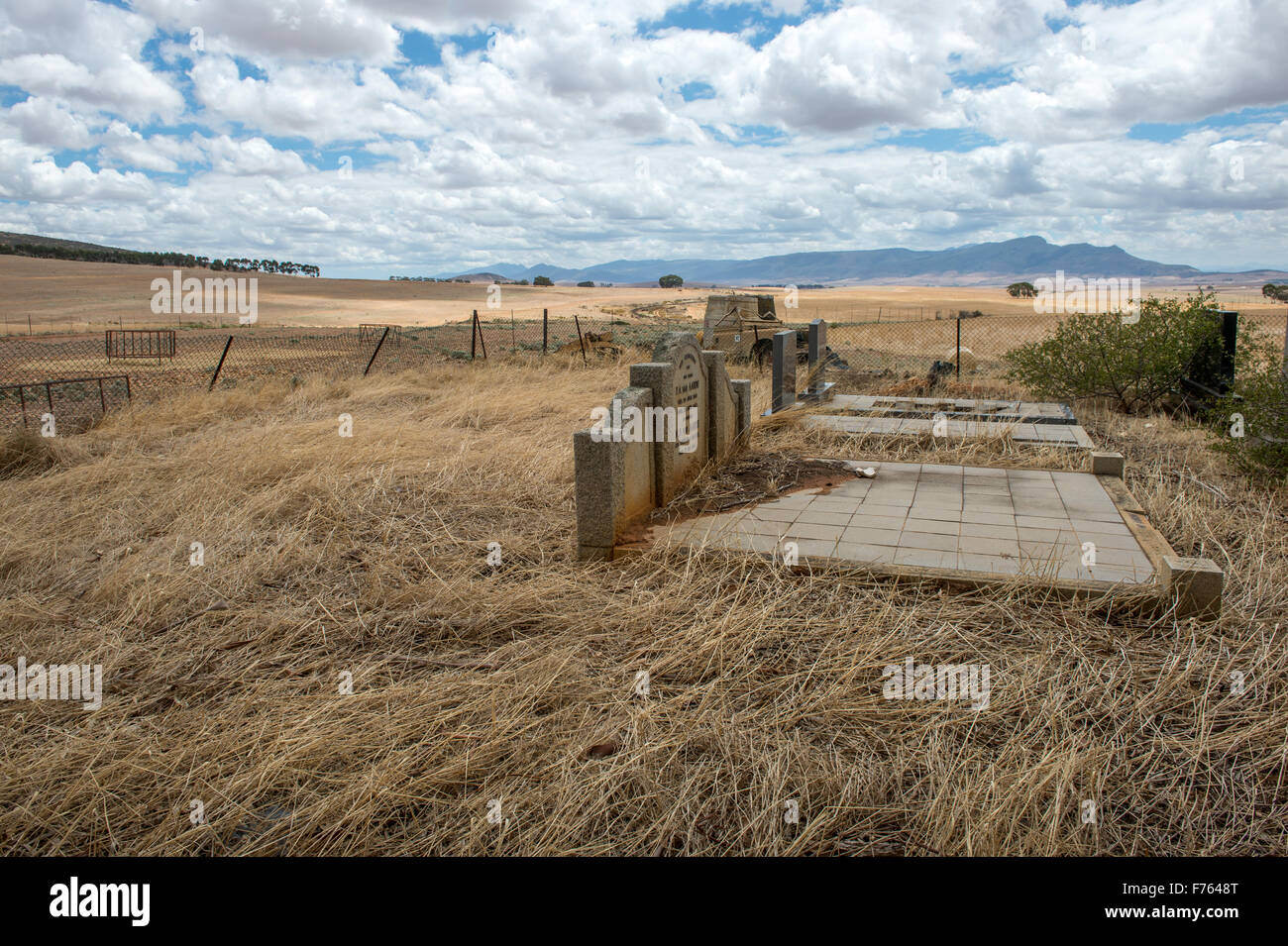 Grabsteine in einem Feld in Südafrika Stockfoto
