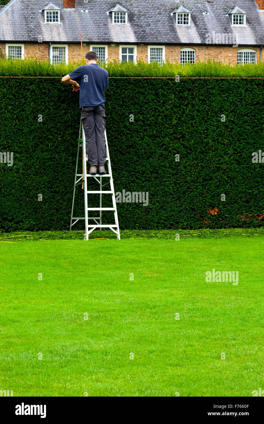 Hecke geschnitten Fotos und Bildmaterial in hoher Auflösung Alamy