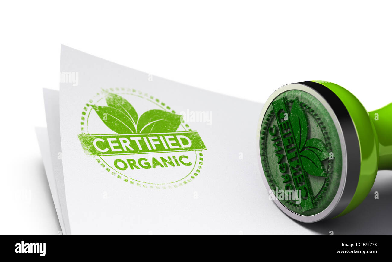 Stempel auf Papierhintergrund mit Bio zertifiziert Label Symbol darauf aufgedruckt. Konzept-Bild zur Veranschaulichung der organi Stockfoto