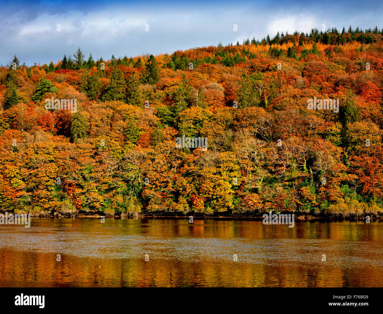 Blackwater River in der Nähe von Villerstown Waterford Irland Irland