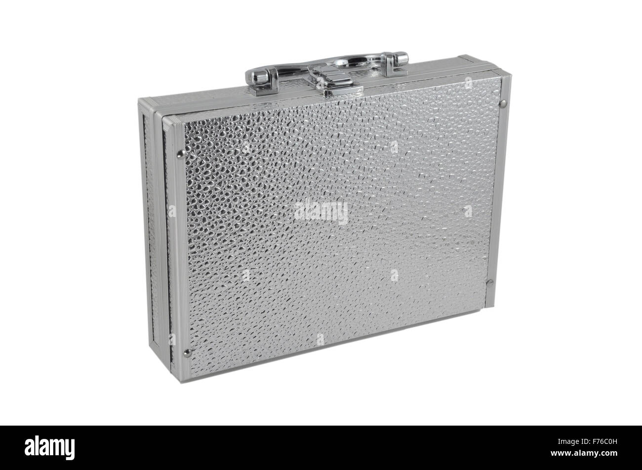 Silber Gehäuse Stockfoto