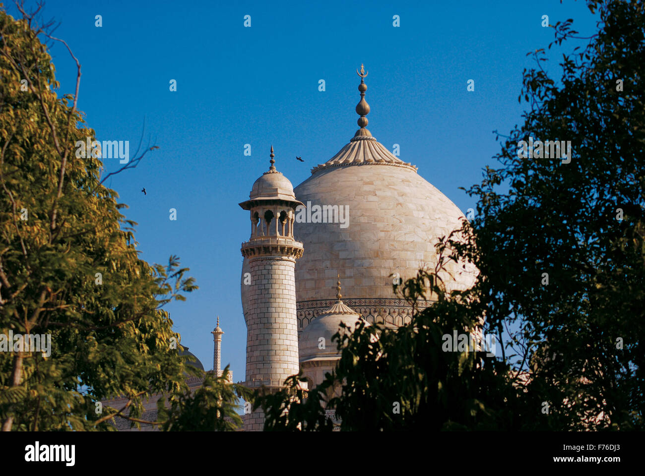 Taj Mahal, Mausoleum aus weißem Marmor, Weltwunder, UNESCO-Weltkulturerbe, Agra, Uttar Pradesh, Indien, Asien Stockfoto