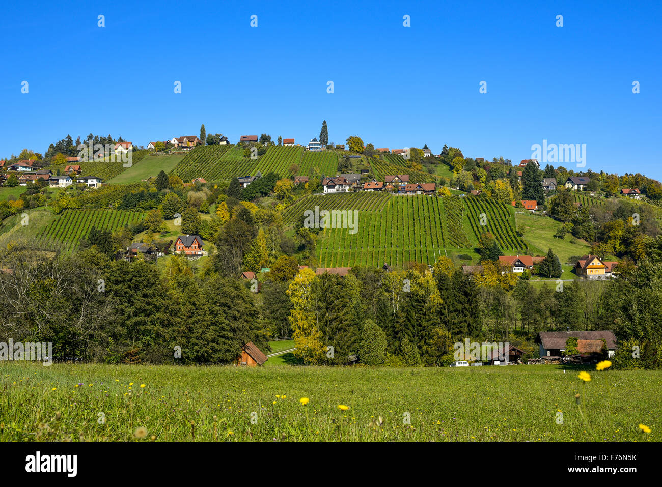 Schilcher Weinstraße, Sankt Stefan Ob Stainz, Steiermark, Österreich Stockfoto