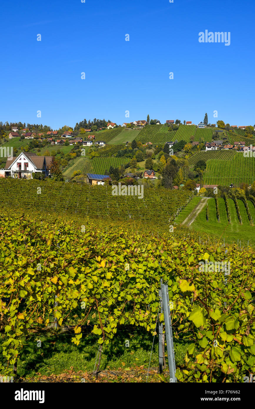 Schilcher Weinstraße, Sankt Stefan Ob Stainz, Steiermark, Österreich Stockfoto