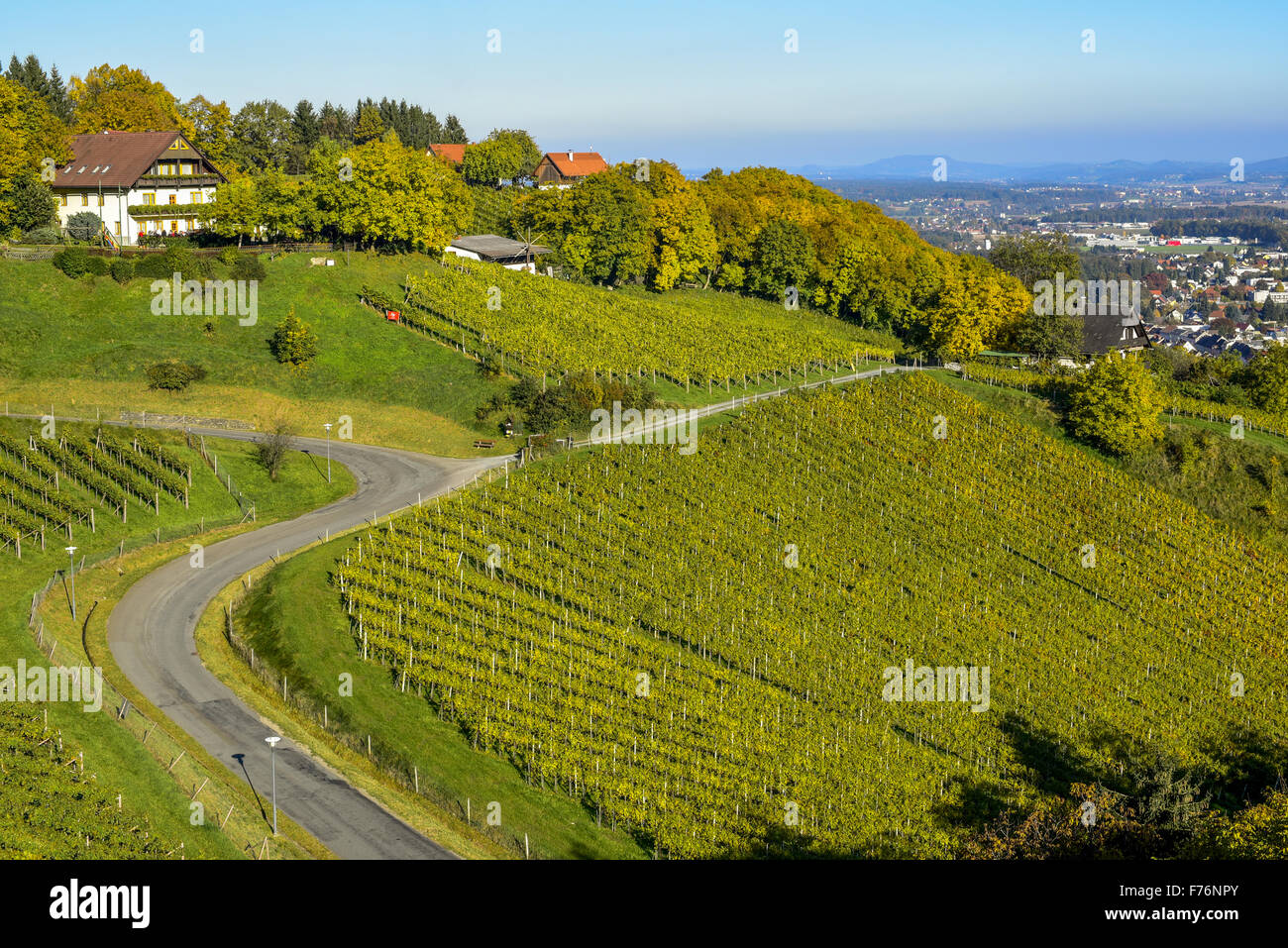 Weingut Peter Stöckl, Schilcher Weinstraße, Steiermark, Deutschlandsberg Stockfoto