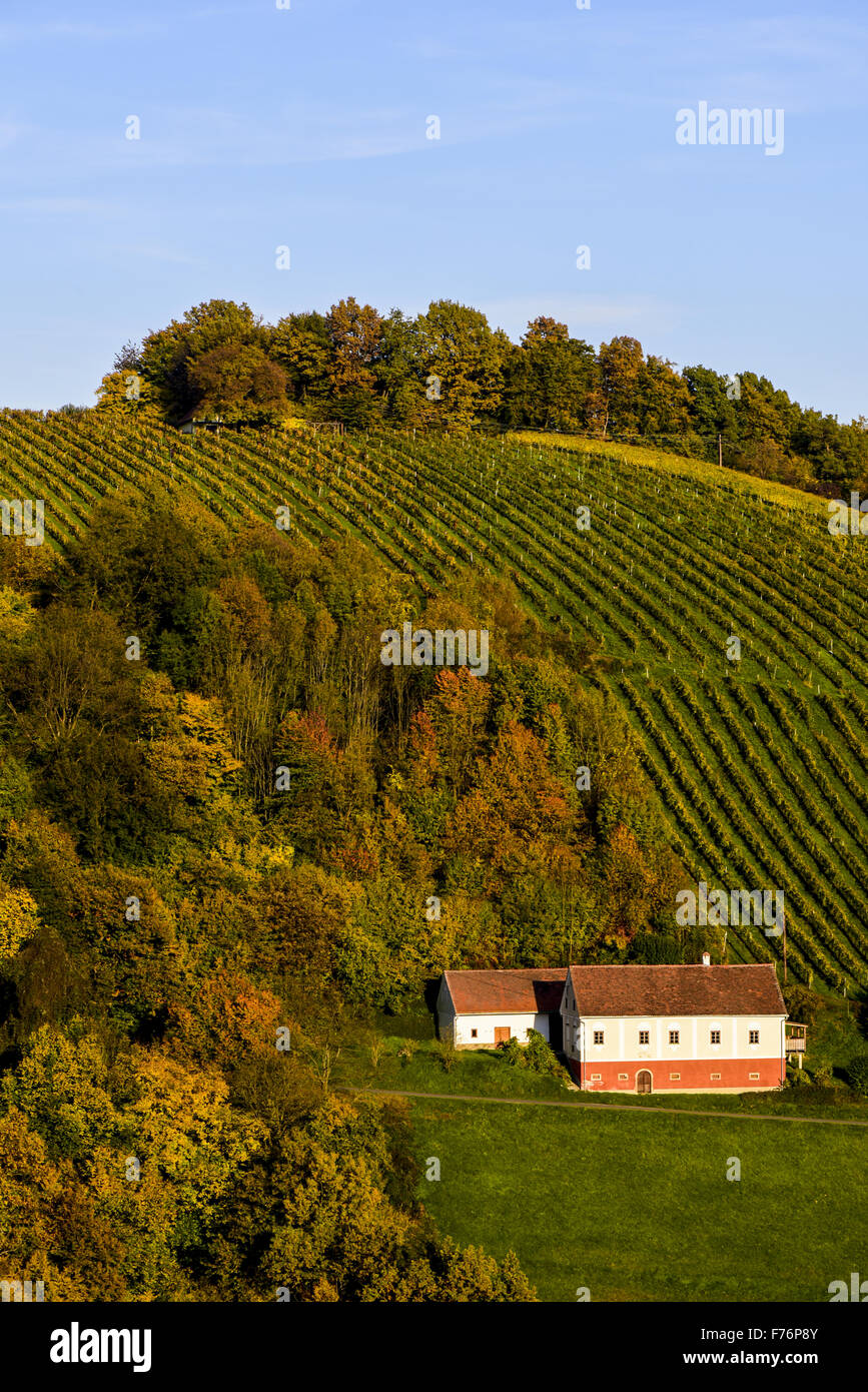 Römer Straße, Römerstraße, Sausal, Steiermark, Österreich, Einoed Stockfoto